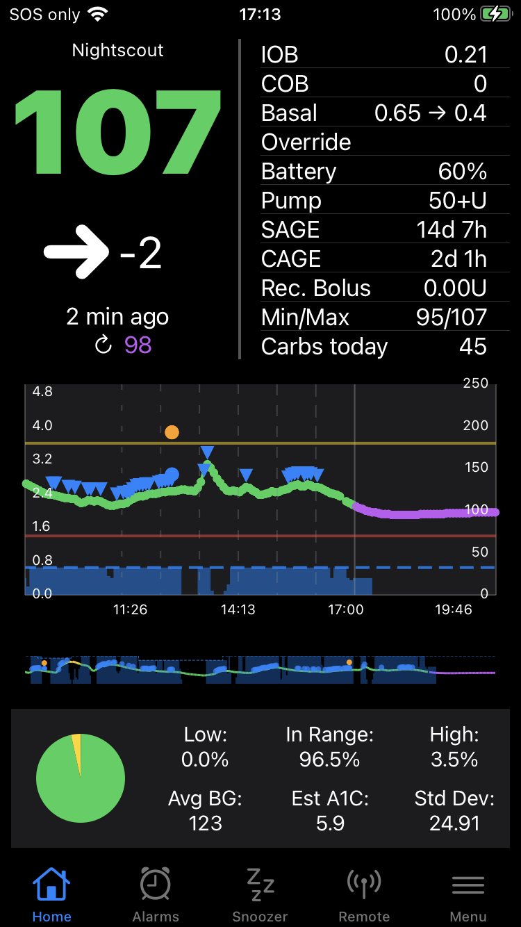 example of Home screen for *LoopFollow*